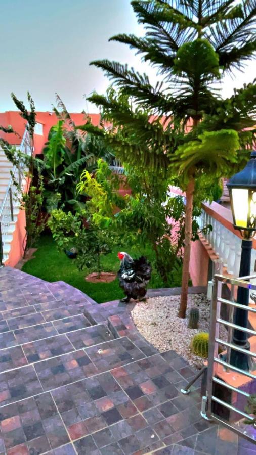 Riad Dar Salam Hotel Agadir Exterior photo